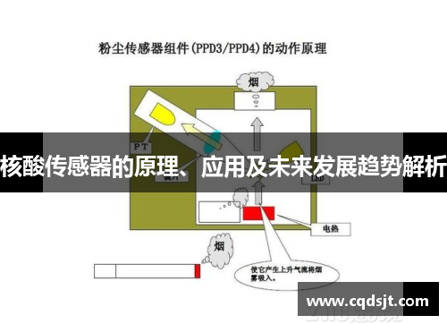 核酸传感器的原理、应用及未来发展趋势解析