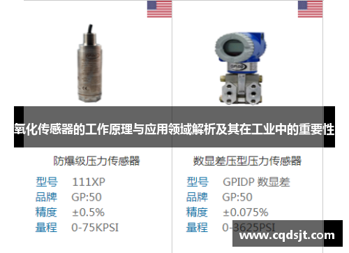 氧化传感器的工作原理与应用领域解析及其在工业中的重要性